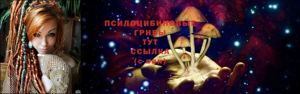 гашиш Арсеньев