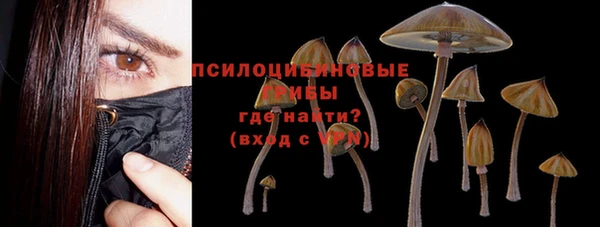 прущие крисы Армянск