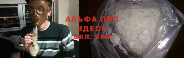 хмурый Аркадак
