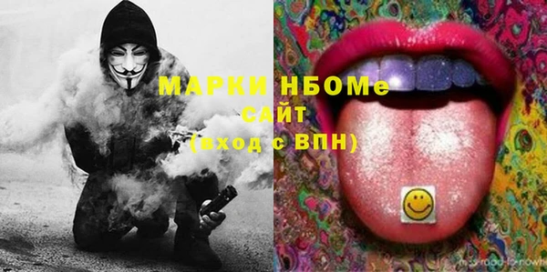 хмурый Аркадак