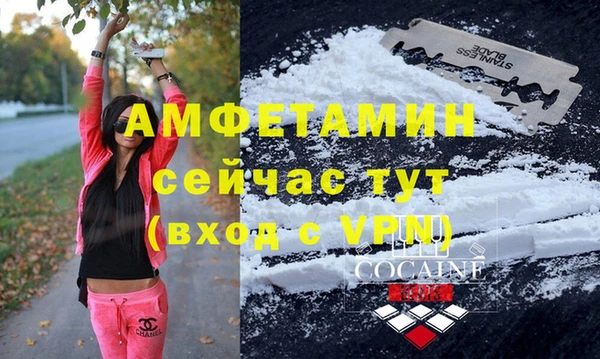 прущие грибы Баксан