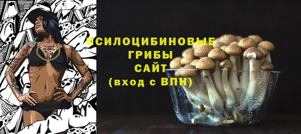 хмурый Аркадак