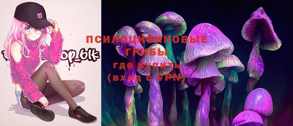 прущие грибы Баксан