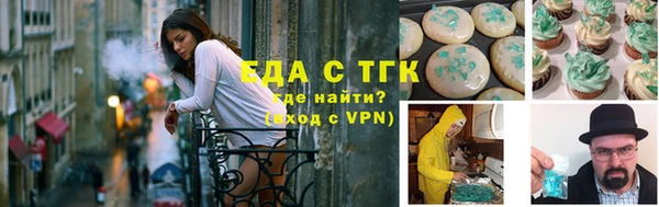 хмурый Аркадак