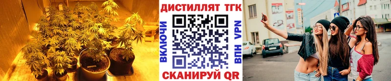 сколько стоит  Усолье  Дистиллят ТГК гашишное масло 