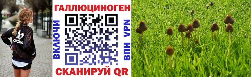 закладки  Усолье  Псилоцибиновые грибы Magic Shrooms 